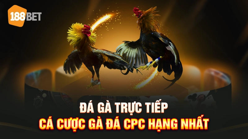 188bet 25 Đá gà trực tiếp 188BET